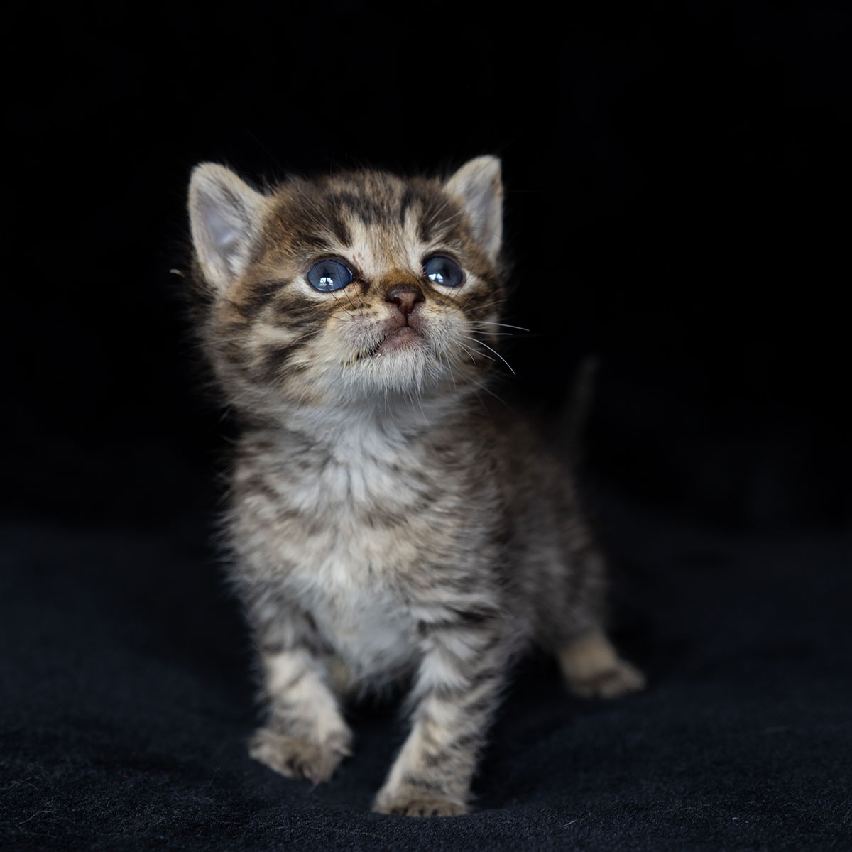 Tina