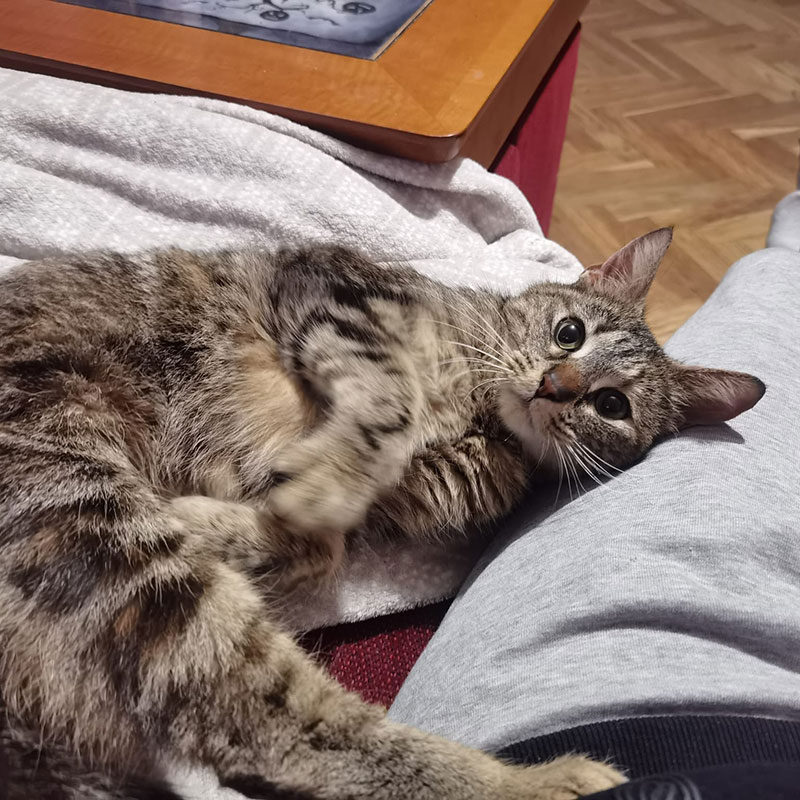 Bella
