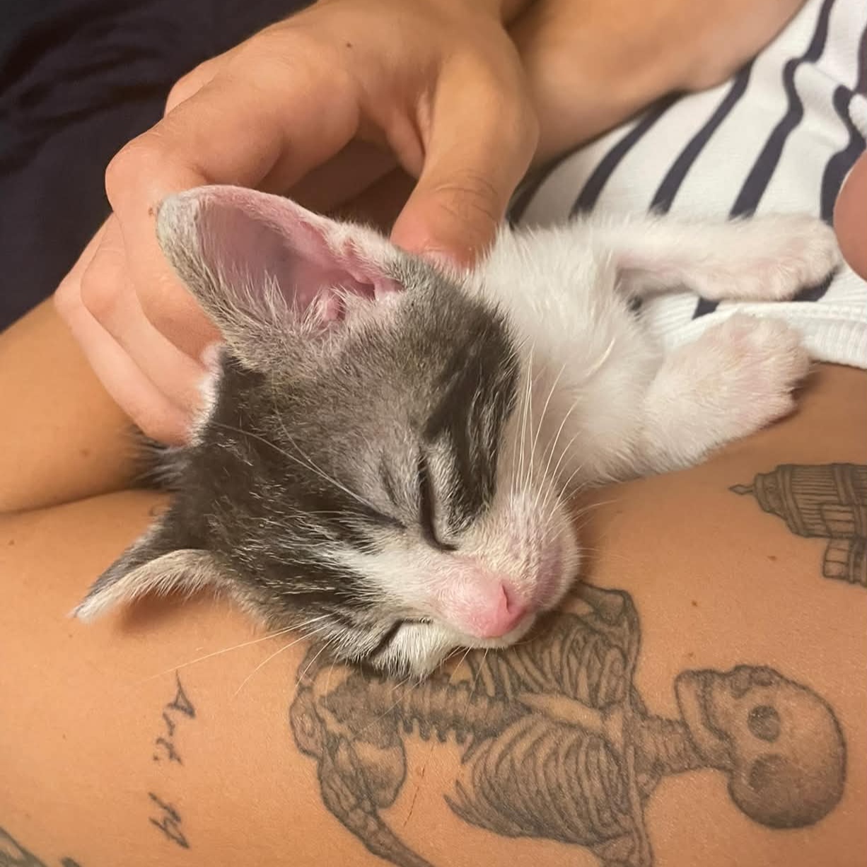 Coco
