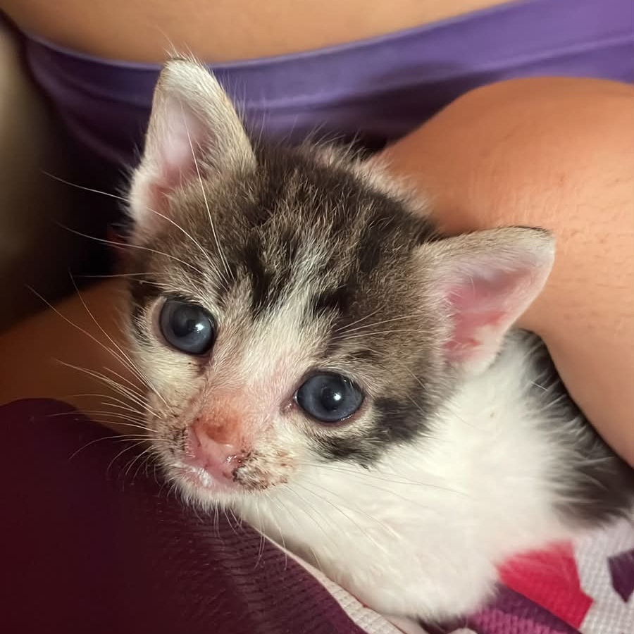 Coco