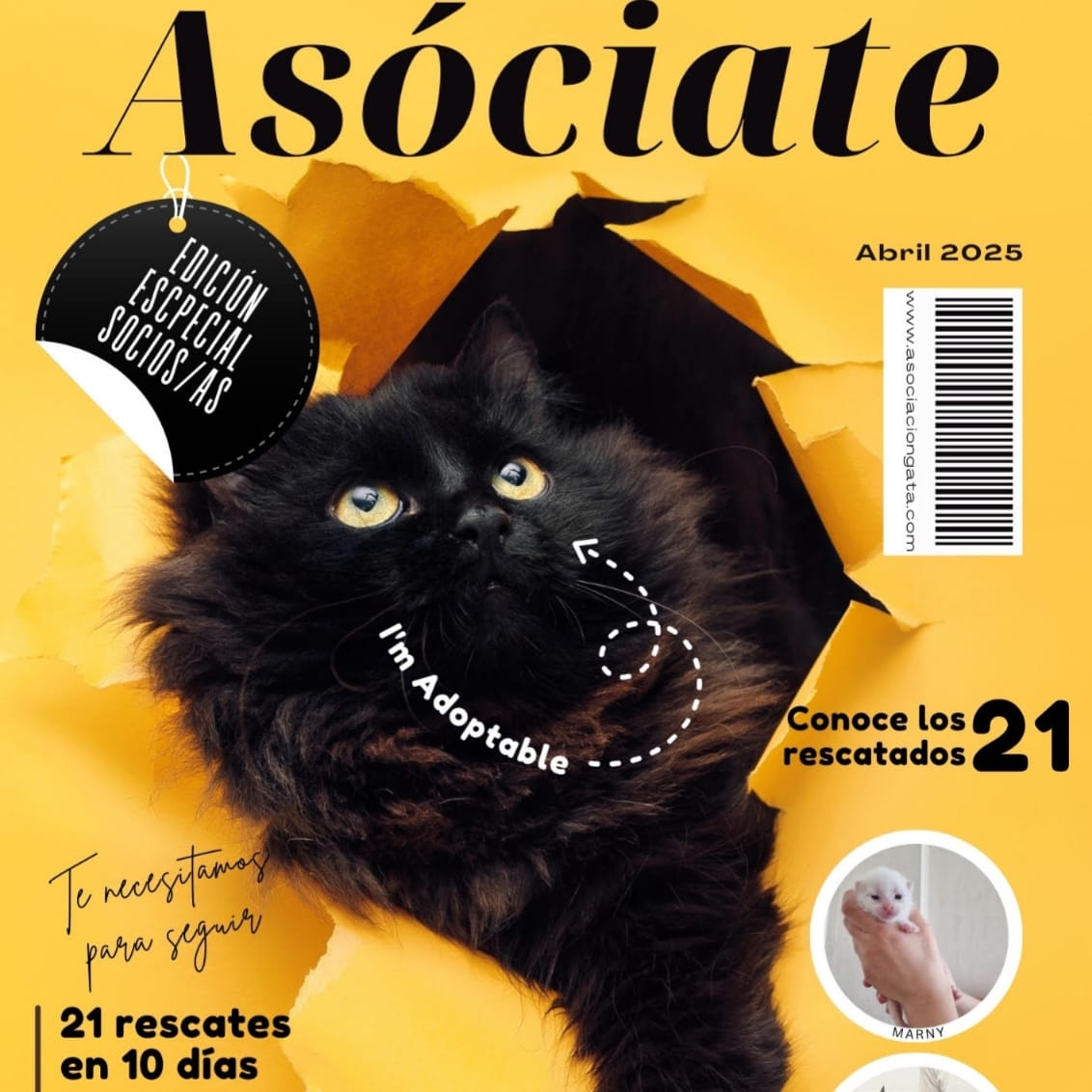 Suscríbete al Boletín de GATA