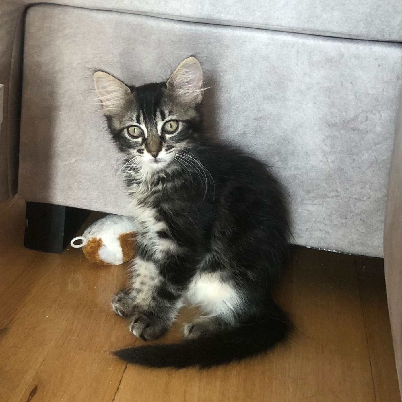 Nora