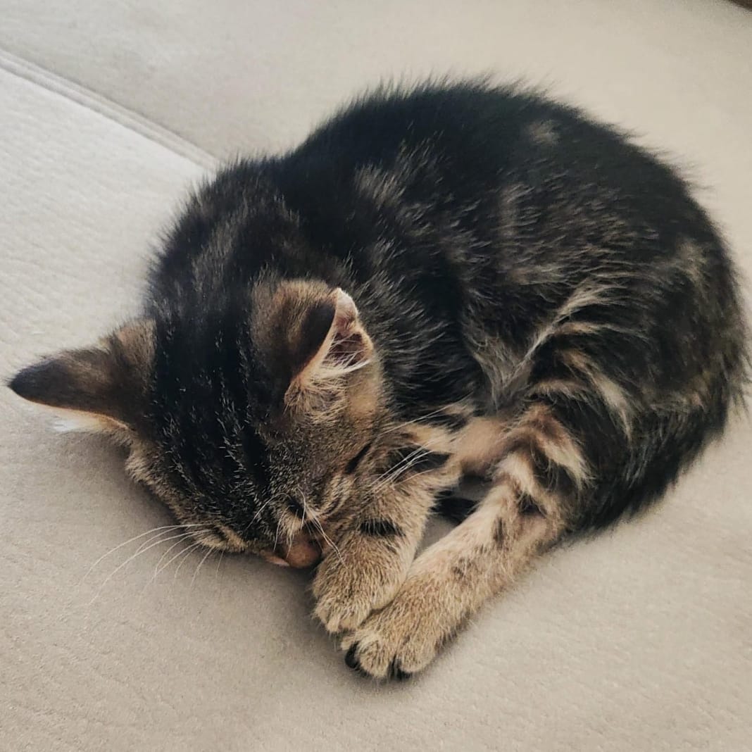 Tom
